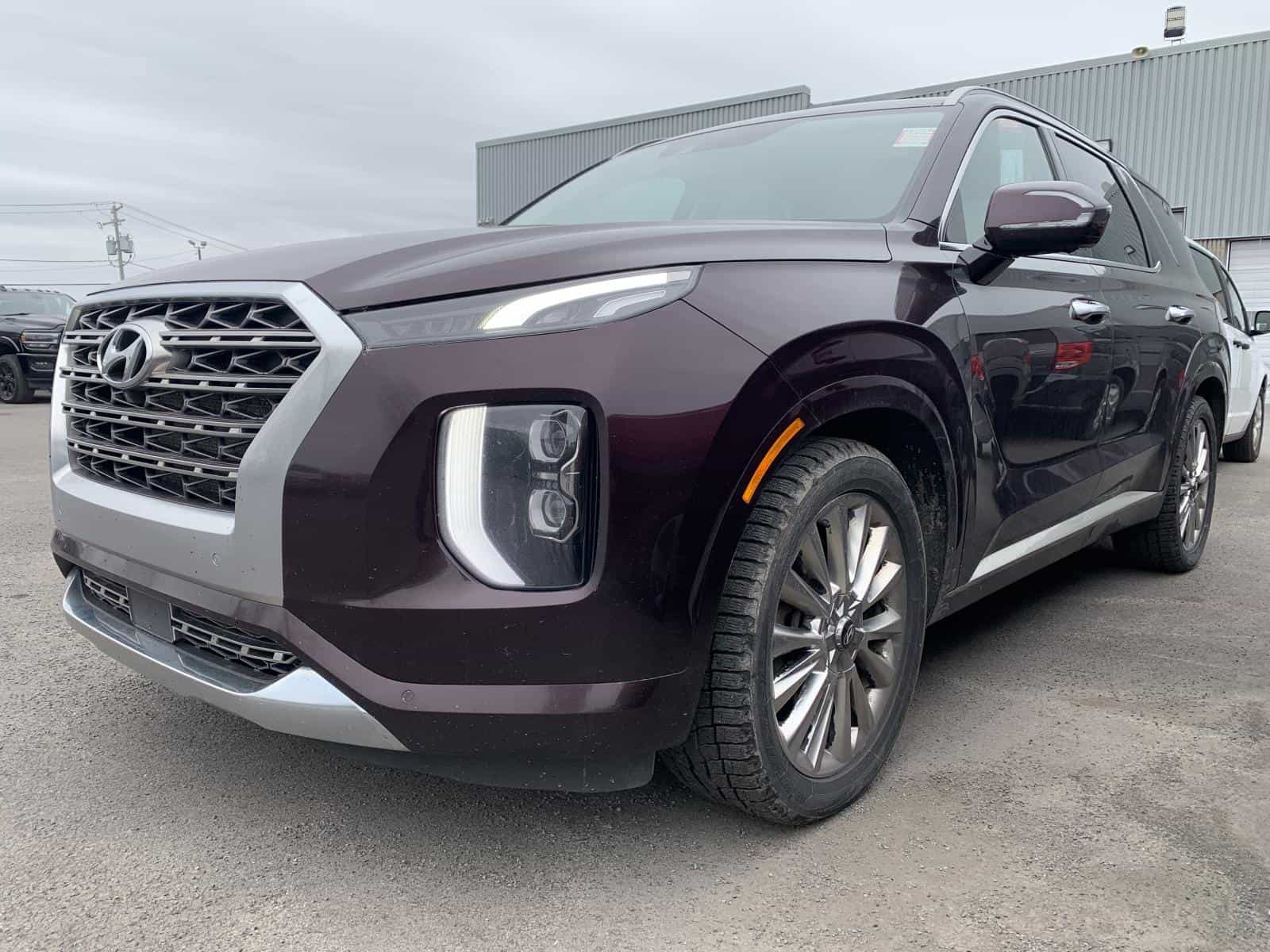 2020 Hyundai Palisade Luxury - Image 1